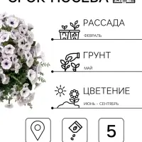 Семена цветов Петуния гибридная &laquo;Пендолино Виолет Айс&raquo; 5 шт.