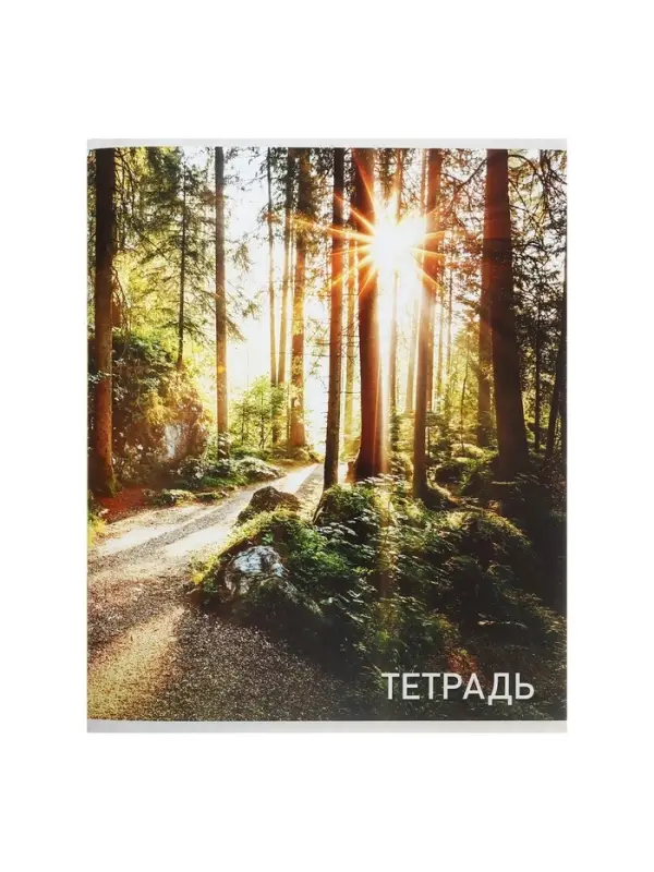 Тетрадь 96 листов, в клетку, Calligrata &laquo;Природа&raquo;, серые листы, МИКС