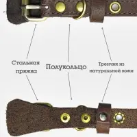 Ошейник безразмерный, 35&times;1.5 см, с подпряжником, кожа, коричневый