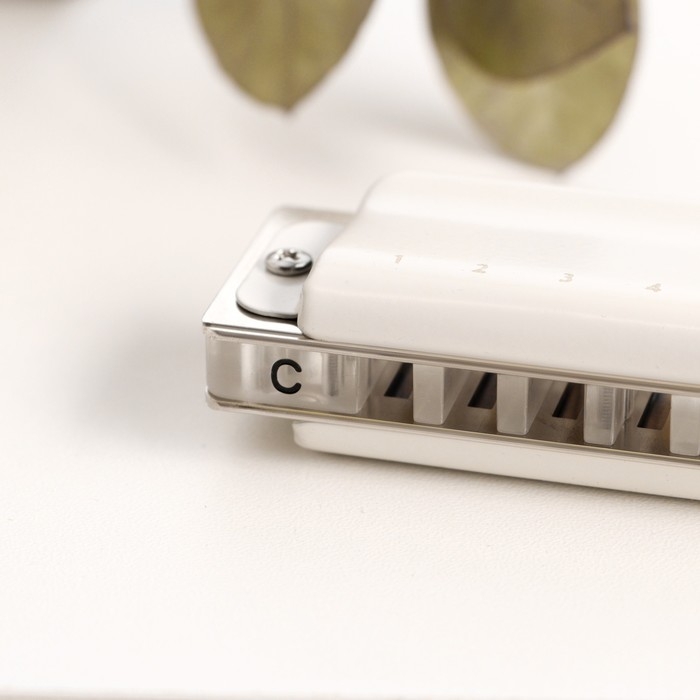 Губная гармошка Music Life T008L  C диатоническая, 10 отверстий, с футляром Губная гармошка Music Life T008L  C диатоническая, 10 отверстий, с футляром