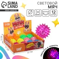 Мяч детский Funny toys резиновый световой &laquo;Пёсики&raquo;, МИКС, в шоубоксе