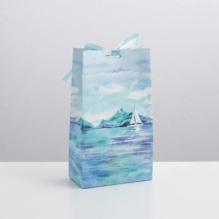 Пакет подарочный с лентой, упаковка, «Present for you», 13 х 23 х 7 см Пакет подарочный с лентой, упаковка, «Present for you», 13 х 23 х 7 см