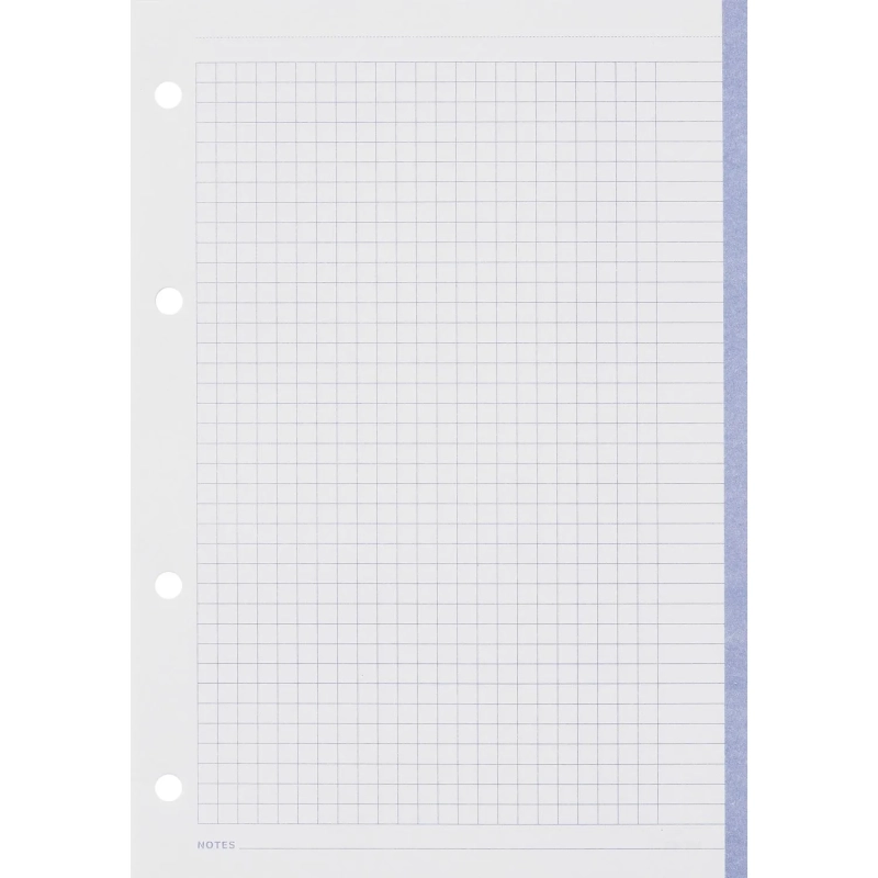 Сменный блок для тетрадей на кольцах, BeSmart А5 120л клетка Цветной N001d