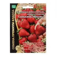 Семена Земляника ремонтантная &laquo;Санькина любовь&raquo;, крупноплодная, 6 шт.