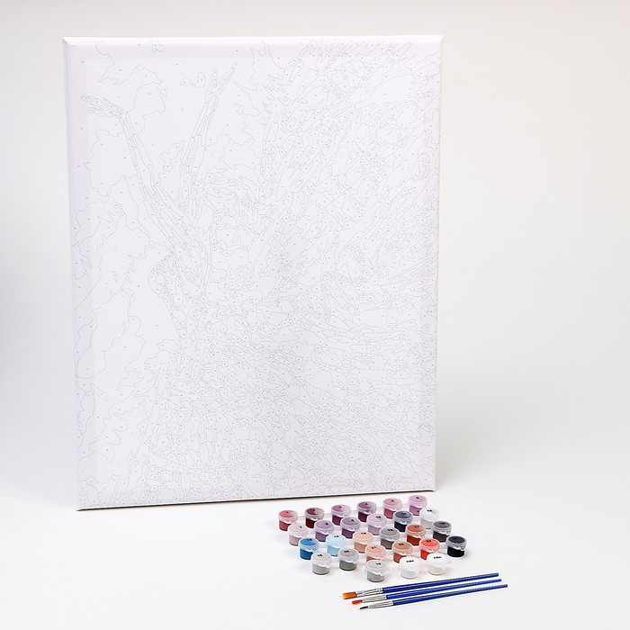 Картина по номерам на холсте с подрамником «Балет», 40 х 50 см