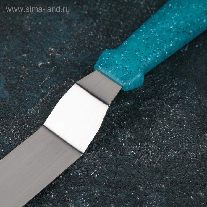 Кондитерская лопатка - палетка изогнутая «Космос», 31 см, рабочая часть 20 см, цвет бирюзовый Кондитерская лопатка - палетка изогнутая «Космос», 31 см, рабочая часть 20 см, цвет бирюзовый