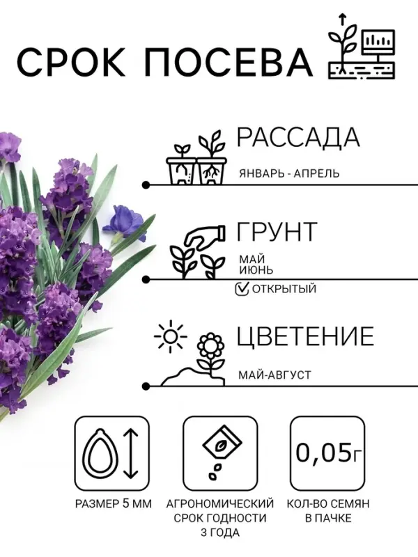 Семена цветов Лаванда &laquo;Пурпурный колос&raquo;, узколистная, 5 шт., &laquo;Семена Алтая&raquo;