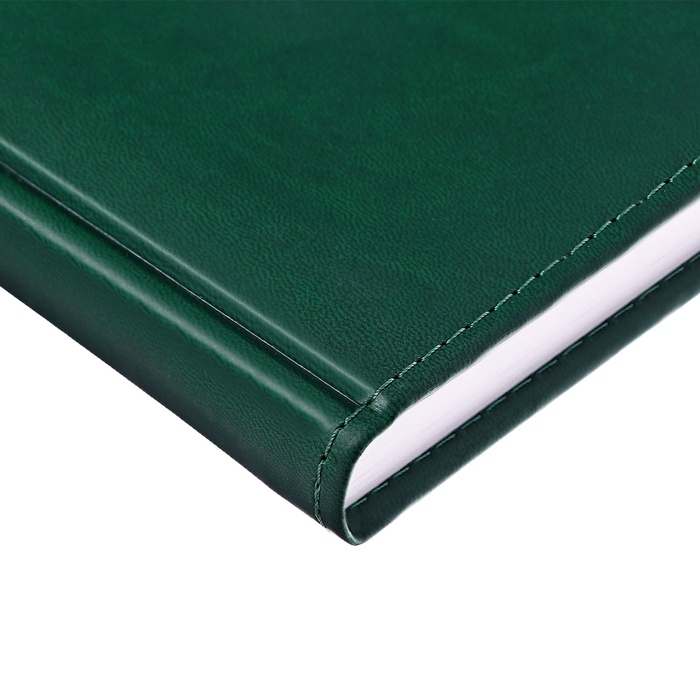 Ежедневник недатированный А5, 160 листов Ежедневник недатированный А5, 160 листов "Вивелла", обложка искусственная кожа, перфорация углов, зелёный