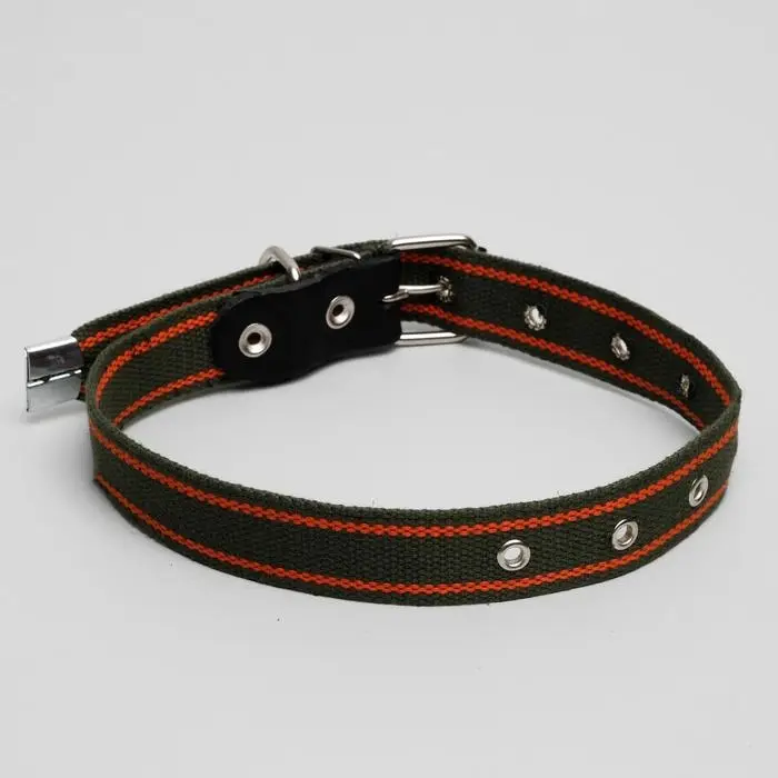 Ошейник брезентовый щенячий однослойный, 70 х 3 см, ОШ 32-66 см, хаки/оранжевый Ошейник брезентовый щенячий однослойный, 70 х 3 см, ОШ 32-66 см, хаки/оранжевый