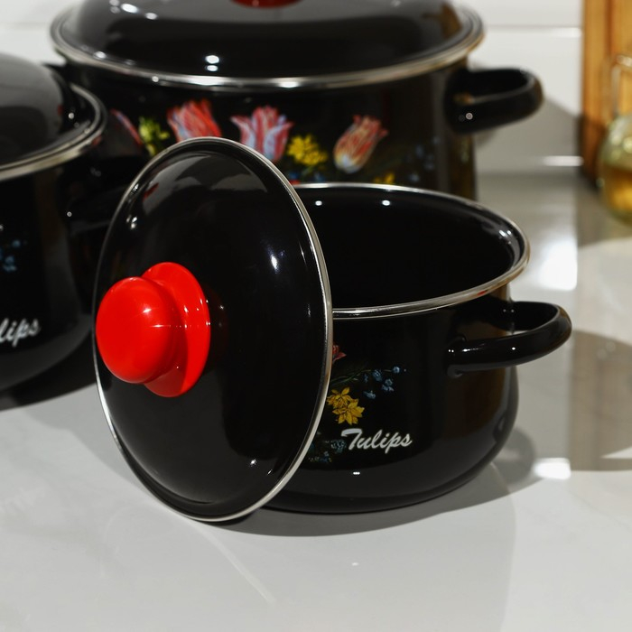 Набор эмалированных кастрюль «Букет тюльпанов», 3 предмета: 2 л, 4 л, 5,5 л, индукция