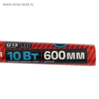 Лампа светодиодная REV LED, Т8, G13, 10 Вт, 6500 К, 600 мм, холодный свет