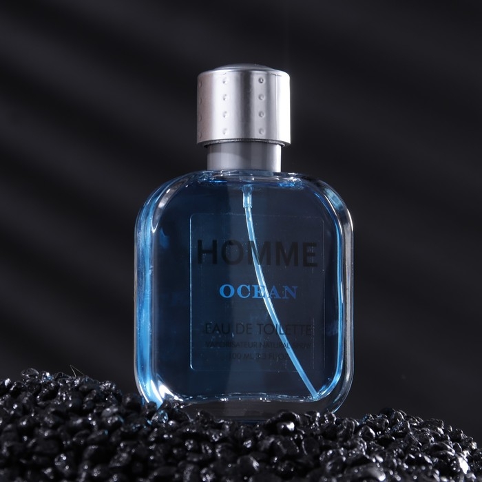 Туалетная вода мужская Homme Ocean, 100 мл (по мотивам Acqua Di Gio (G.Armani) Туалетная вода мужская Homme Ocean, 100 мл (по мотивам Acqua Di Gio (G.Armani)