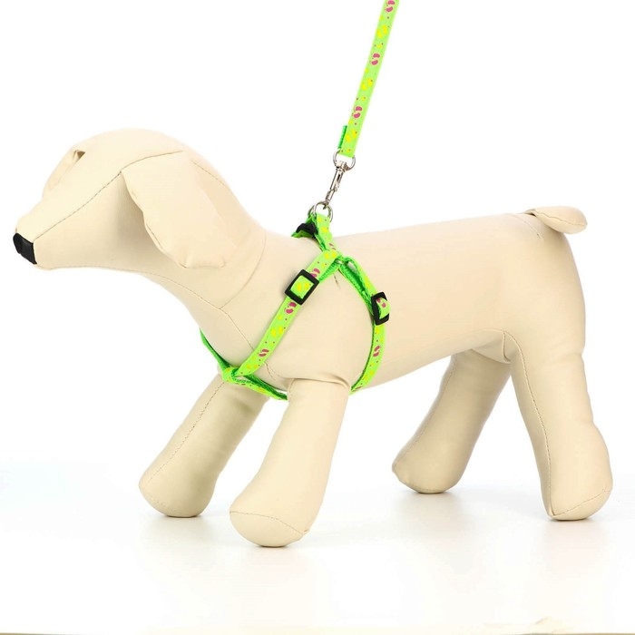 Комплект  Комплект "Цветные следы", поводок 120 х 1 см, ОГ 23-35 см, зелёный