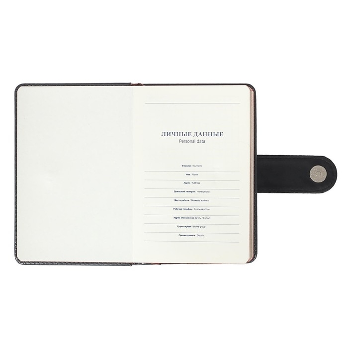 Ежедневник недатированный А6, 120 листов в клетку, тонированный срез, с хлястиком, обложка ПВХ, МИКС Ежедневник недатированный А6, 120 листов в клетку, тонированный срез, с хлястиком, обложка ПВХ, МИКС