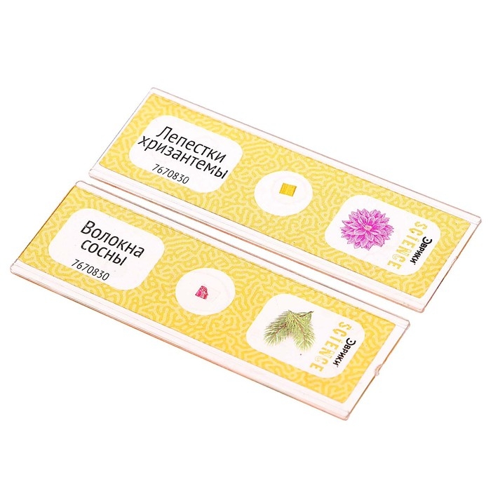 Набор для опытов «Набор микропрепаратов», цветы Набор для опытов «Набор микропрепаратов», цветы