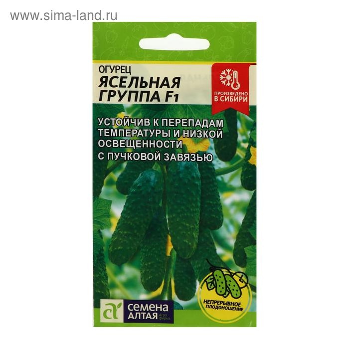 Семена Огурец  Семена Огурец "Ясельная Группа",  F1, 5 шт