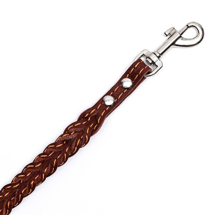 Поводок кожаный плетеный  Поводок кожаный плетеный "Коса", 1.25 м х 1.1 см, коричневый