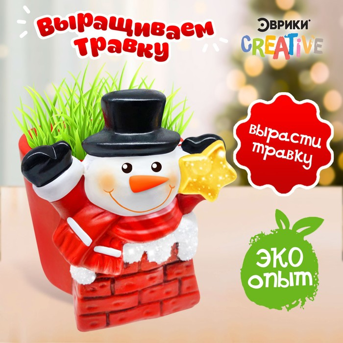 Набор для опытов «Выращиваем травку», снеговик Набор для опытов «Выращиваем травку», снеговик