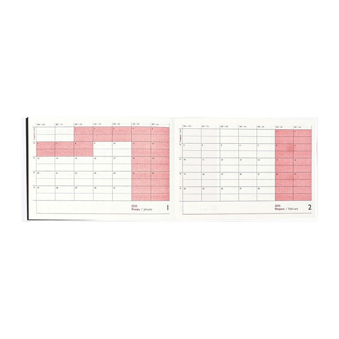 Еженедельник датированный 2025 год, ESCALADA  Еженедельник датированный 2025 год, ESCALADA "змея металлик", мягкая обложка ПВХ, 64 листа, блок 70 г/м², 180 х 127мм