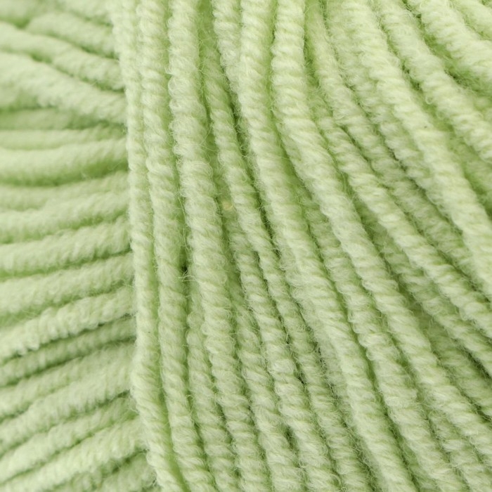 Пряжа Пряжа "Jeans" 55% хлопок, 45% акрил 160м/50гр (11 салатовый)