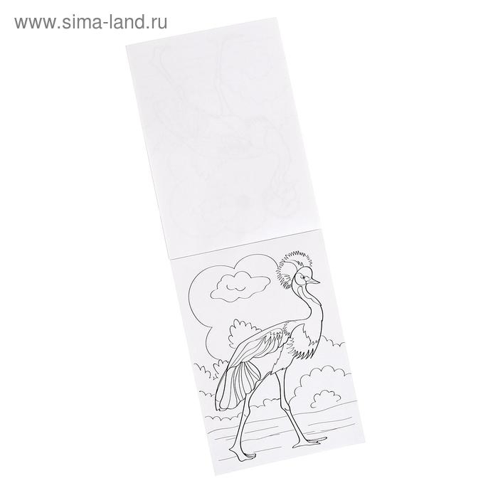 Раскраска «100 листов. Зоопарк»