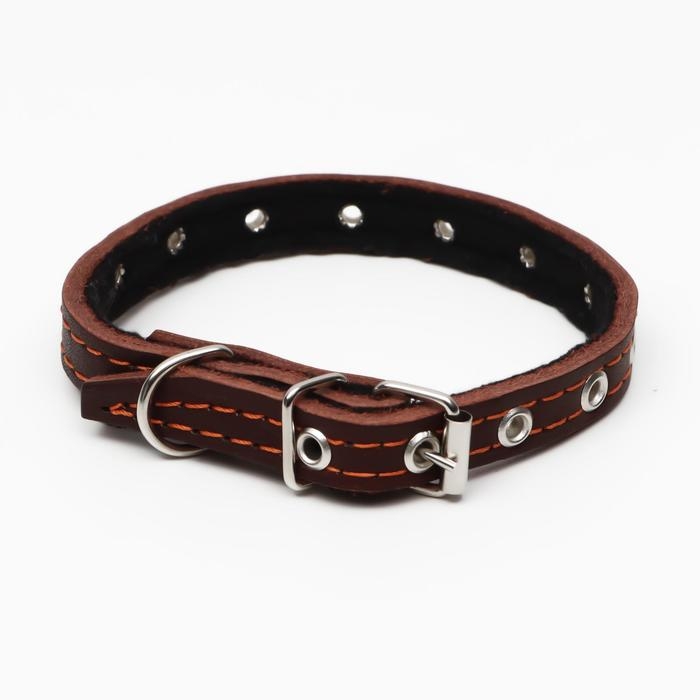 Ошейник кожаный на синтепоне, безразмерный, 37 х 1.5 см, ОШ 21-31 см, коричневый Ошейник кожаный на синтепоне, безразмерный, 37 х 1.5 см, ОШ 21-31 см, коричневый