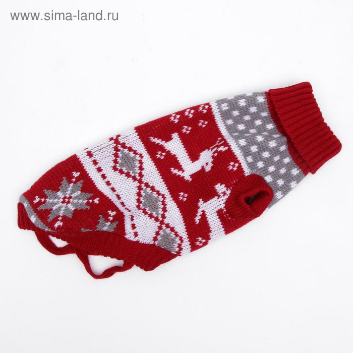 Свитер, размер 12 (ДС 36-51, ОШ 18-33, ОГ 32-47 см), микс расцветок Свитер, размер 12 (ДС 36-51, ОШ 18-33, ОГ 32-47 см), микс расцветок