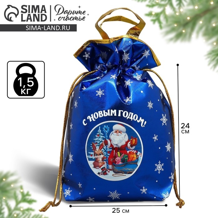 Пакет-мешок из нетканного материала «Новый год», 25 х 32 см, Новый год Пакет-мешок из нетканного материала «Новый год», 25 х 32 см, Новый год