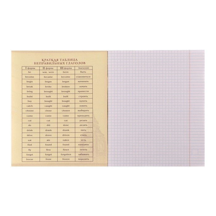 Тетрадь предметная Calligrata Тетрадь предметная Calligrata "Мрамор светлый", 48 листов в клетку Английский язык, со справочным материалом, обложка мелованный картон, УФ-лак, блок офсет