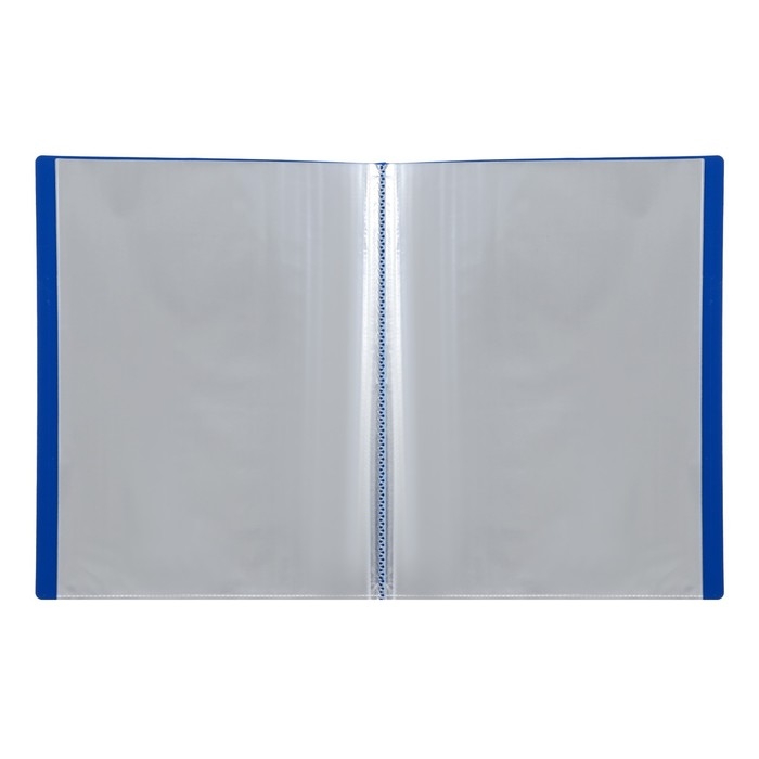 Папка-портфолио пластиковая А4, Calligrata  Папка-портфолио пластиковая А4, Calligrata "Снова в школу", 20 файлов