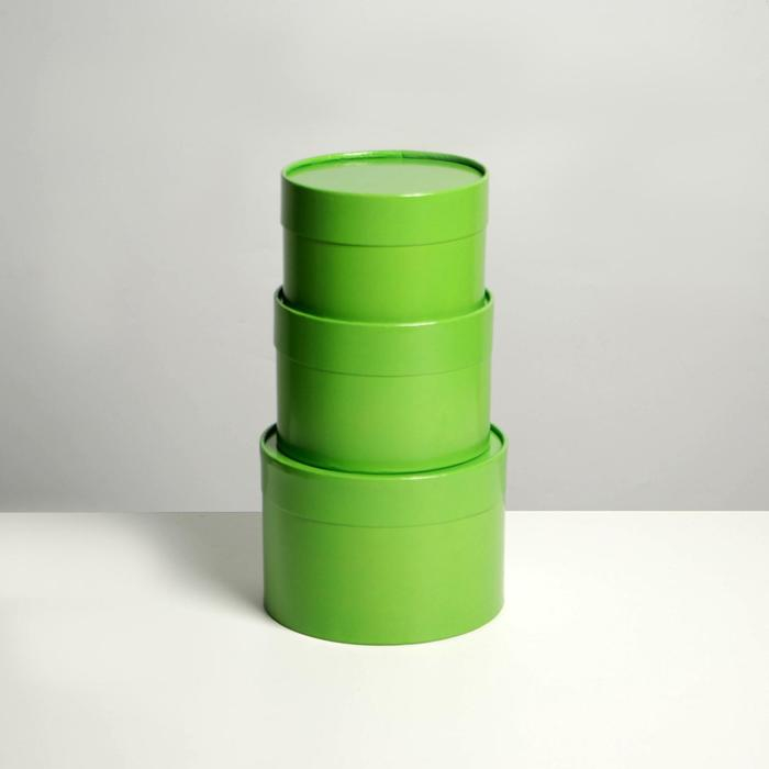 Набор шляпных коробок 3 в 1 салатовый, упаковка подарочная, 16 х 10, 14 х 9, 13 х 8,5 см Набор шляпных коробок 3 в 1 салатовый, упаковка подарочная, 16 х 10, 14 х 9, 13 х 8,5 см