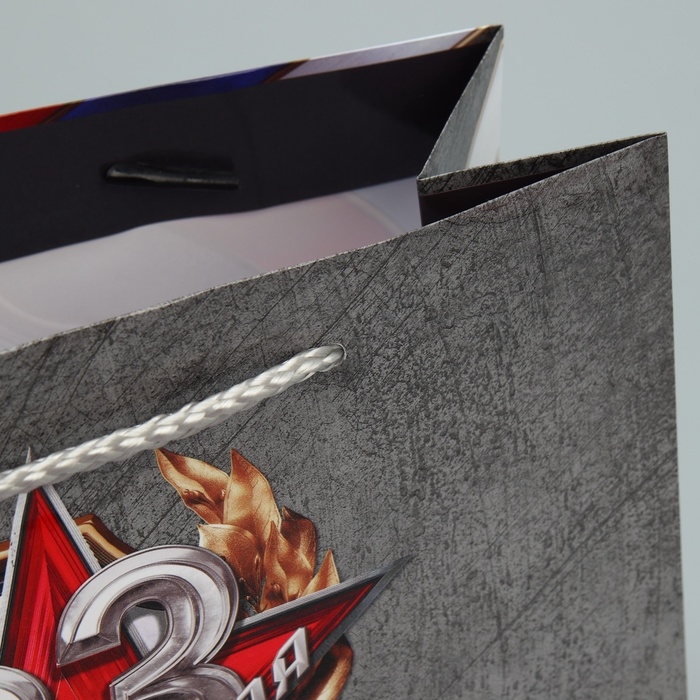 Пакет подарочный ламинированный, упаковка, «Лучшему защитнику», MS 23 х 18 х 8 см Пакет подарочный ламинированный, упаковка, «Лучшему защитнику», MS 23 х 18 х 8 см