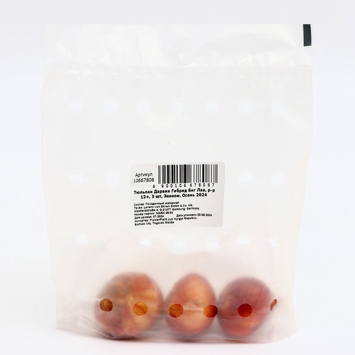 Тюльпан Дарвин Гибрид Биг Лав, р-р 12+, 3 шт, Эконом, Осень 2024 Тюльпан Дарвин Гибрид Биг Лав, р-р 12+, 3 шт, Эконом, Осень 2024