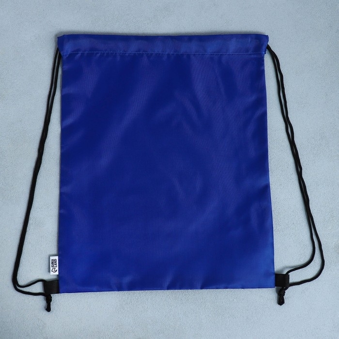 Мешок для обуви, болоньевый материал «1 сентября» цвет синий, 30 х 40 см