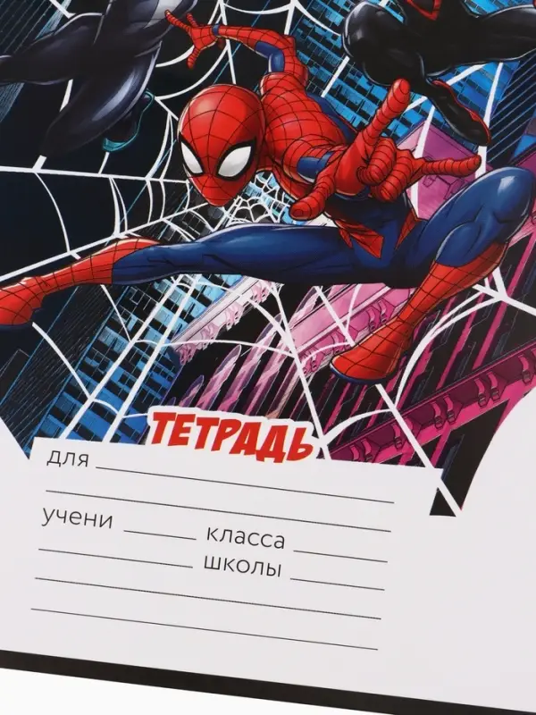 Тетрадь 12 листов в клетку &laquo;Паутина&raquo;