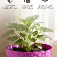 Горшок цветочный с поддоном &laquo;Ротанг&raquo;, 1.2 л, d=13 см, h=12 см, пластиковый, сиреневый