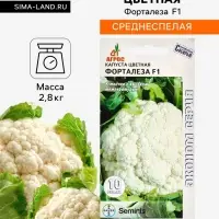 Семена Капуста цветная, &laquo;Форталеза&raquo;, F1, 10 шт., Seminis, &laquo;Агрос&raquo;
