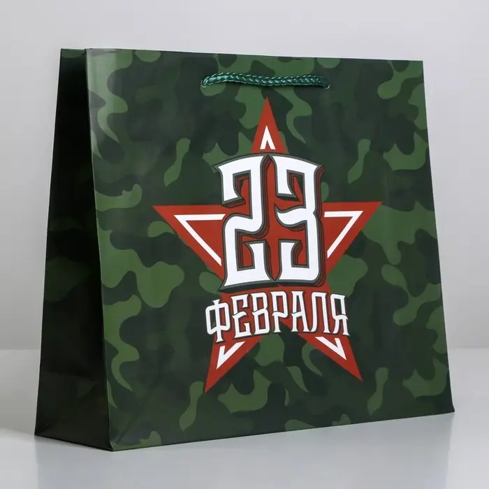 Пакет подарочный ламинированный, упаковка, «С 23 февраля», ML 25 х 21 х 8 см