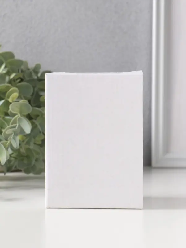 Сувенир полистоун "Котятки с рыбьими скелетами" набор 4 шт 4х5х6,5 см