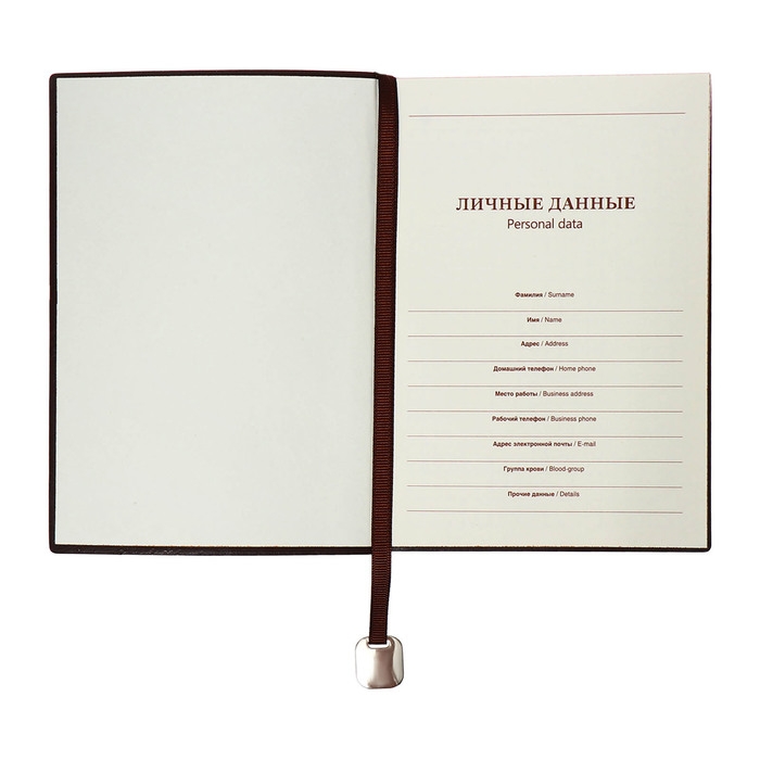 Органайзер на кольцах, B6, 116л, клетка, обл.кожзам, коричневый срез, Синий Органайзер на кольцах, B6, 116л, клетка, обл.кожзам, коричневый срез, Синий