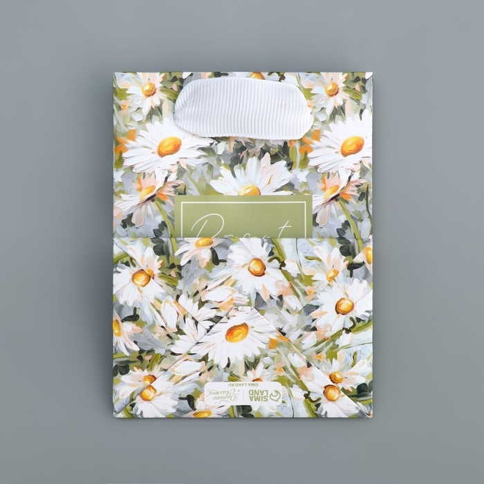 Пакет подарочный ламинированный, упаковка, Present, 9 х 12 х 6.5 см Пакет подарочный ламинированный, упаковка, Present, 9 х 12 х 6.5 см