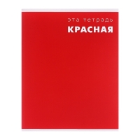 Тетрадь 48 листов в клетку Calligrata "Это Тетрадь..", обложка мелованный картон, блок офсет, МИКС