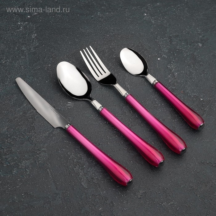 Набор столовых приборов из нержавеющей стали Доляна «Леденцы», 4 предмета, цвет МИКС Набор столовых приборов из нержавеющей стали Доляна «Леденцы», 4 предмета, цвет МИКС