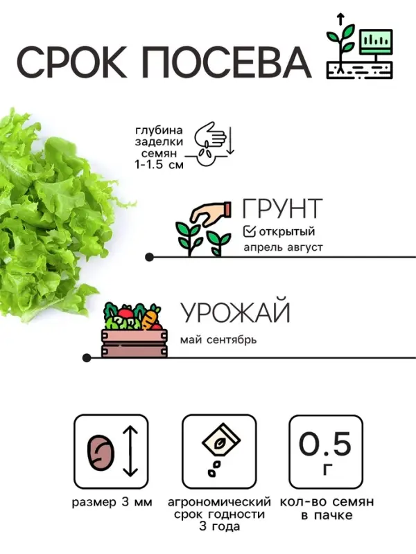 Семена Салат листовой &laquo;Веселая грядка&raquo;, смесь, 0.5 г, &laquo;Рецепты дедушки Никиты&raquo;