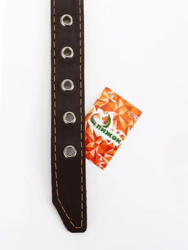 Ошейник однослойный Ошейник однослойный "Красавчик", 2.5 см, тиснение фольгой, микс цветов