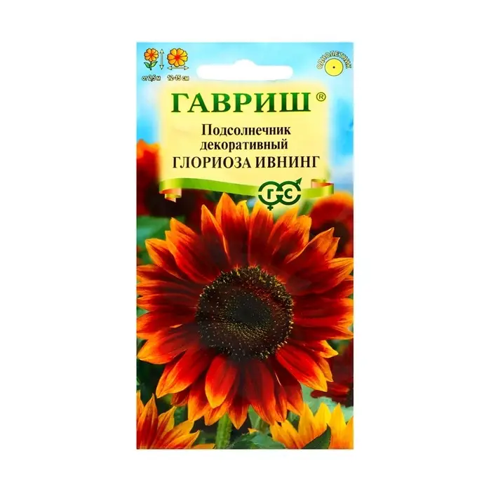 Семена цветов Подсолнечник декоративный  Семена цветов Подсолнечник декоративный "Глориоза Ивнинг", ц/п,  0,5 г