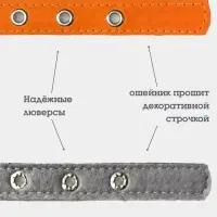 Ошейник, 50&times;2.5 см, подклад из ватина, кожа, оранжевый