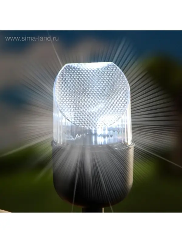 Садовая фигура - фонарь из полистоуна &laquo;Белка с орешком&raquo;, 24&times;16&times;24 см