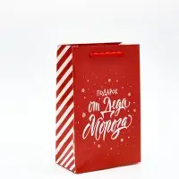Пакет подарочный «Новогодний подарок», с носком для подарков, 18 × 23 × 11 см Пакет подарочный «Новогодний подарок», с носком для подарков, 18 × 23 × 11 см