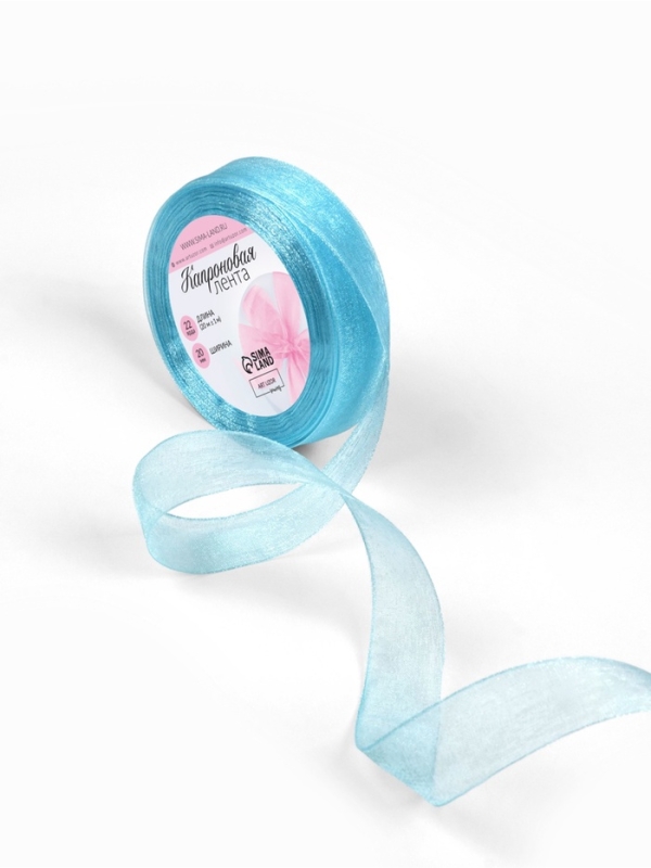 Лента капроновая, 20 мм, 20 ± 1 м, цвет тёмно-голубой Лента капроновая, 20 мм, 20 ± 1 м, цвет тёмно-голубой